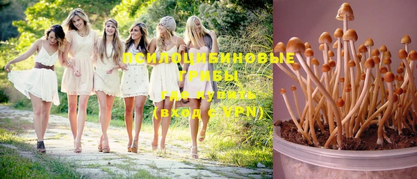 твердый Приозерск