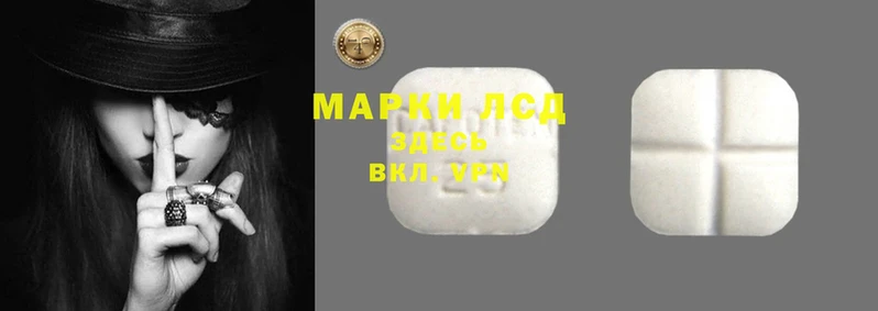 мяу мяу мука Пролетарск