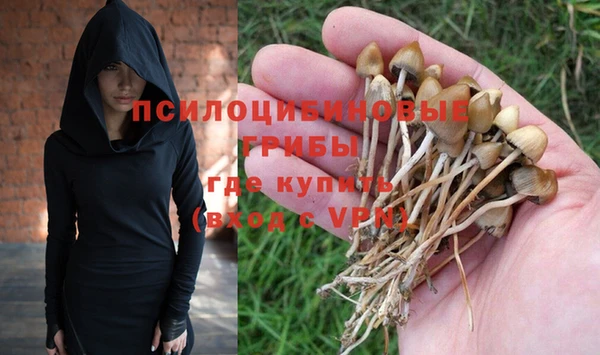 первитин Абинск