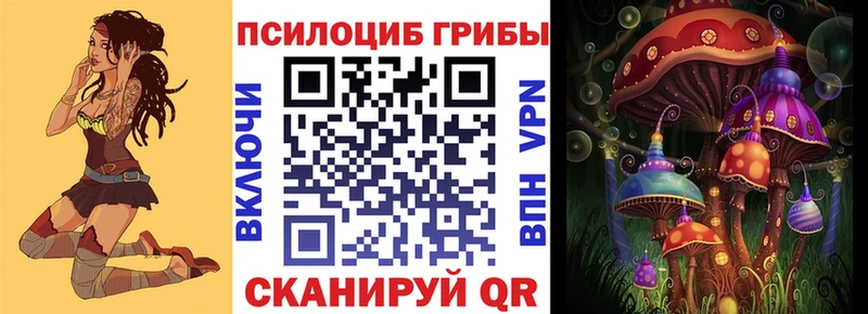 наркота  Ишимбай  Галлюциногенные грибы Cubensis 